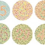 How to Interpret the Ishihara Color Plate Test