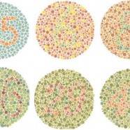 10 Facts About Color Blindness 